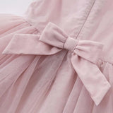 Baby Girl Butterfly Embroidered Chiffon Dress