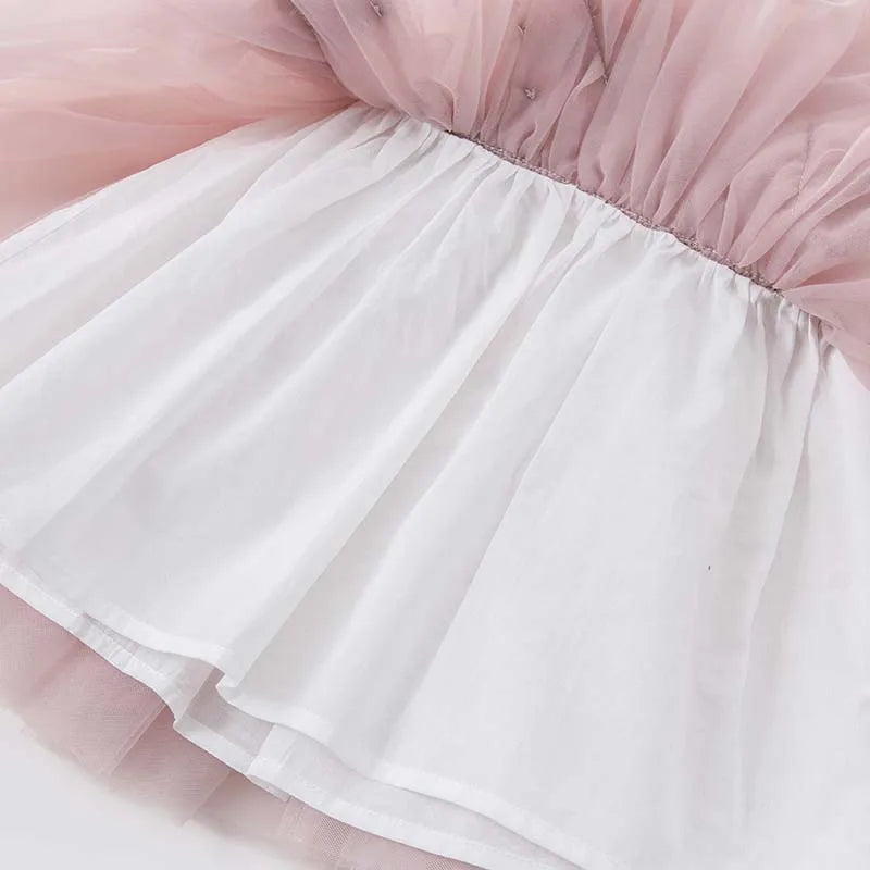 Baby Girl Butterfly Embroidered Chiffon Dress