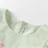 Baby Girl Princess Dress – Embroidered Mesh Party Dress