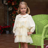 Baby Girl Mesh Cake Dress – Sweet Party Look