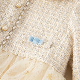 Girl Lace Mesh Princess Dress – Spring Sweet Outfit